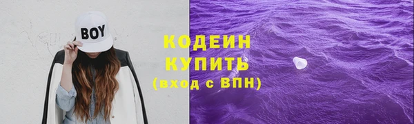 спайс Аша